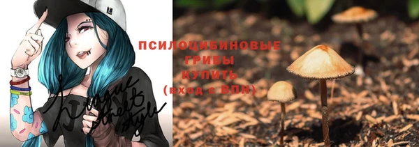 apvp Балахна