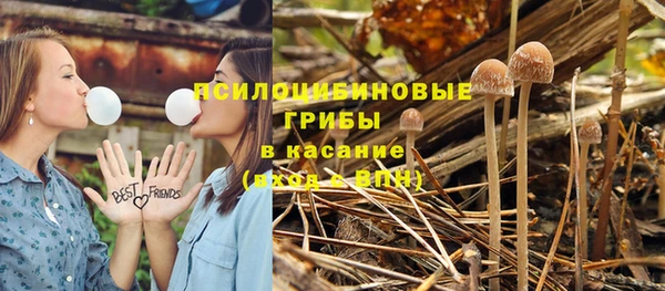хмурый Балабаново