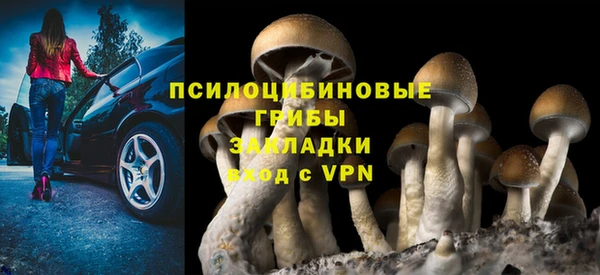 apvp Балахна
